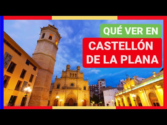 Los Mejores Ginecólogos de Castellón de la Plana – Guía de Selección