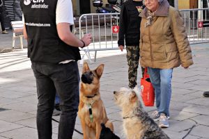 Más de 150 vecinos de Barcelona aprenden a educar a sus perros con los talleres gratuitos