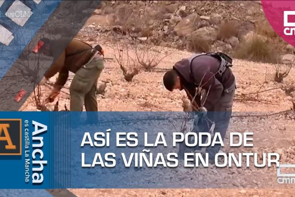 Descubre Ontur: Un Destino Imperdible que Debes Conocer
