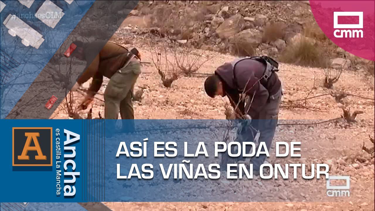 Conoce-Ontur - Sonajero.es