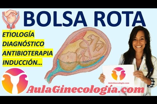 Todo lo que necesitas saber sobre los mejores ginecólogos en Rota: ¡Encuentra al especialista que estás buscando!