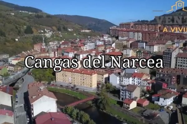 Todo lo que debes saber sobre las matronas en Cangas del Narcea: servicios, ubicación y contactos