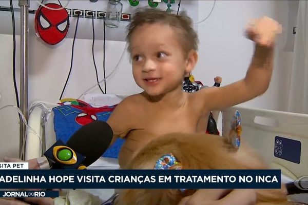 Los mejores pediatras en Inca: Cuidado experto para tus hijos
