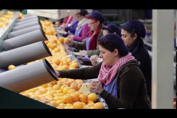 Descubre los mejores centros comerciales en Carcaixent para tus compras