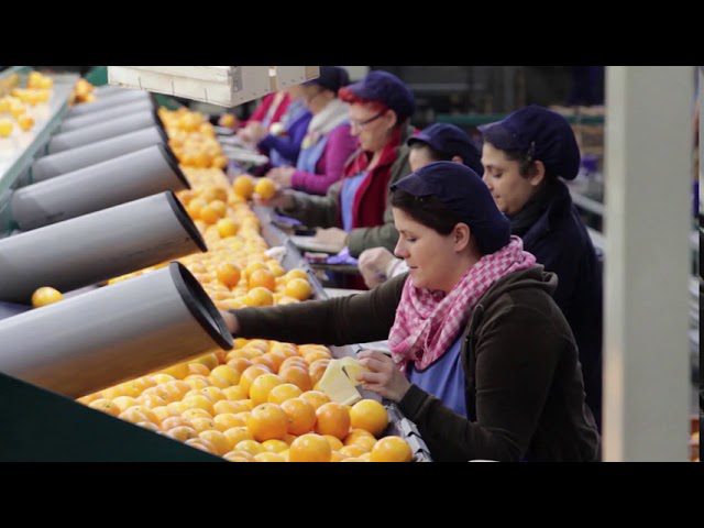 Centros-comerciales-en-Carcaixent - Sonajero.es