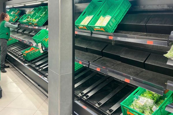 Descubre los Mejores Centros Comerciales en Tomelloso: ¡Encuentra las Tiendas y Entretenimiento que Estás Buscando!