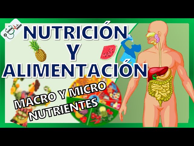 Consejos-para-la-introduccion-de-la-diversidad-en-la-alimentacion - Sonajero.es