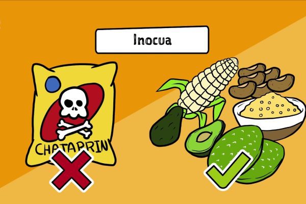 Crianza y alimentación: Introduciendo la diversidad desde temprano