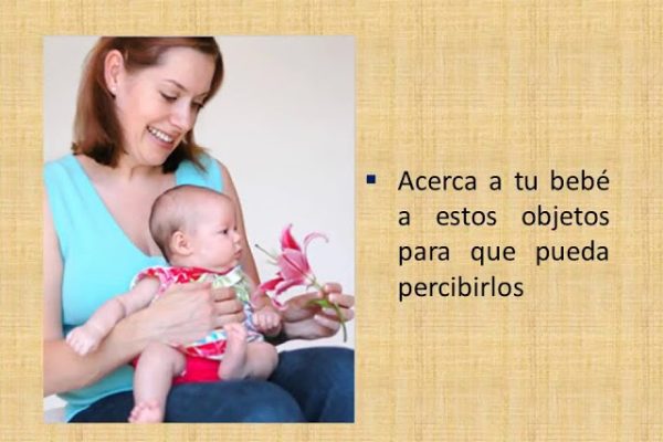 Estimulación temprana: Desarrollo del sentido del olfato en bebés