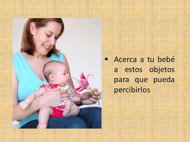 Estimulacion-temprana-Desarrollo-del-sentido-del-olfato-en-bebes - Sonajero.es