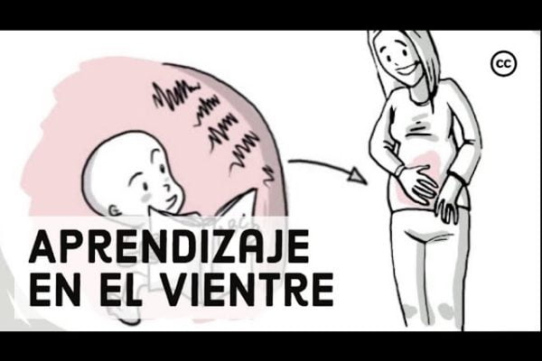 Guía para padres primerizos sobre el desarrollo sensorial del bebé