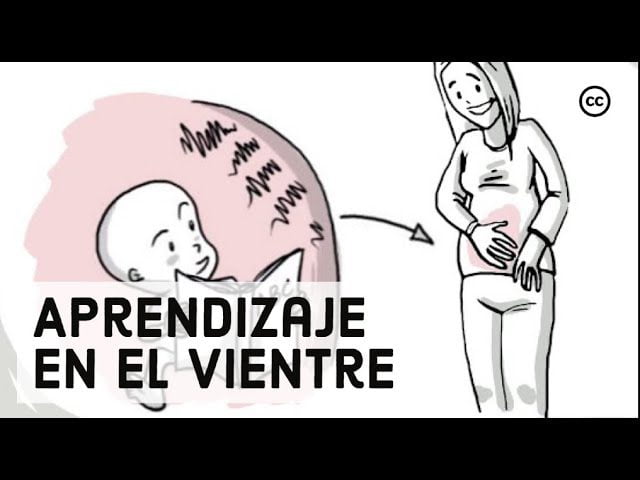 Guia-para-padres-primerizos-sobre-el-desarrollo-emocional-del-bebe - Sonajero.es