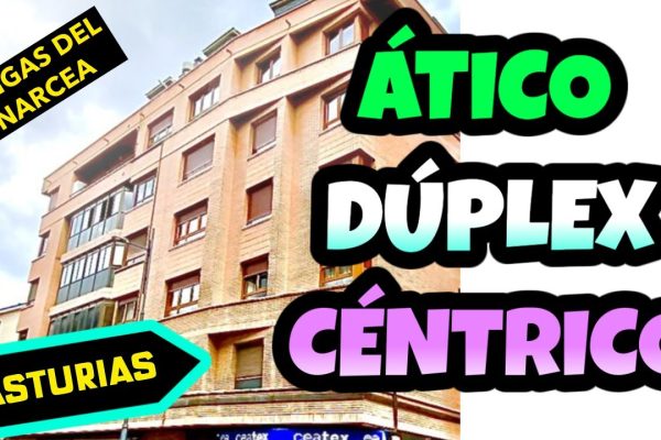Descubre las Mejores Jugueterías en Cangas del Narcea: Variedad, Calidad y Diversión Garantizadas