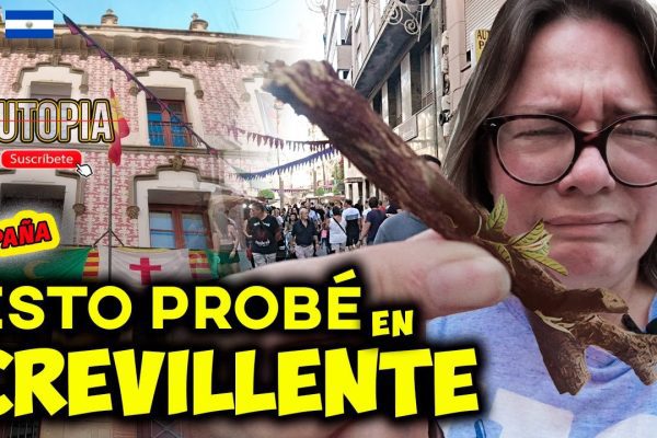 Las mejores jugueterías en Crevillent: ¿Dónde encontrar los juguetes más divertidos?