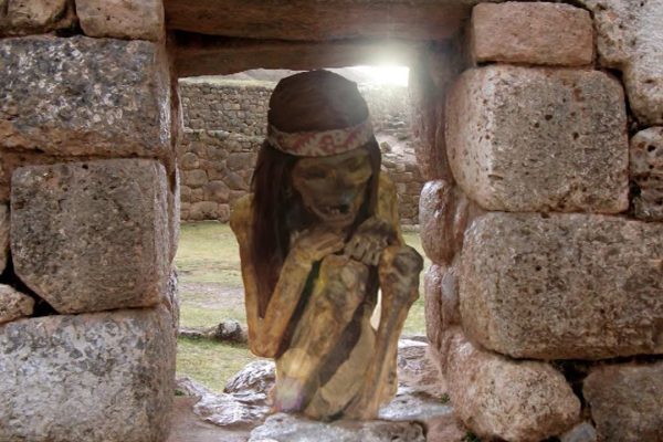 Descubre los Mejores Servicios de Matronas en Inca: Atención Integral para tu Bienestar