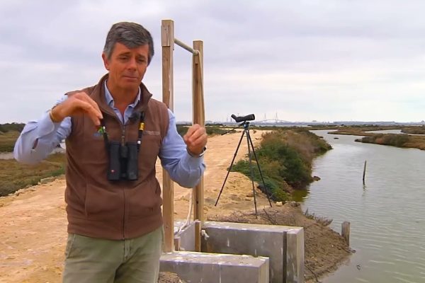 El papel crucial de las matronas en Puerto Real: ¡Descubre su importancia y beneficios!