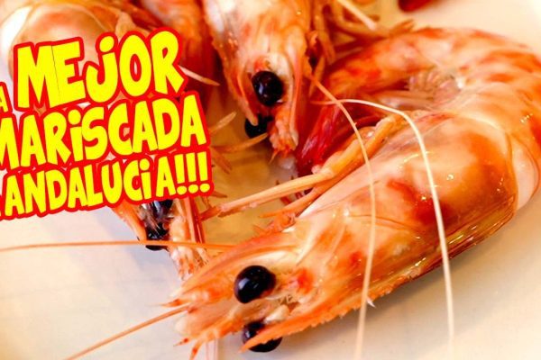 Descubre los servicios de matronas en Sanlúcar de Barrameda: atención personalizada y cuidados durante el embarazo