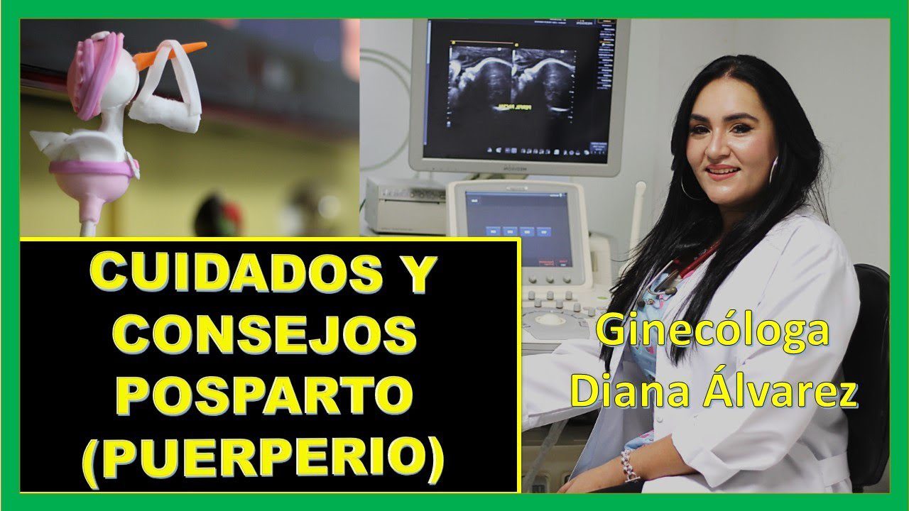 Navegando-por-los-desafios-del-posparto-Apoyo-para-mamas-y-papas-novatos - Sonajero.es