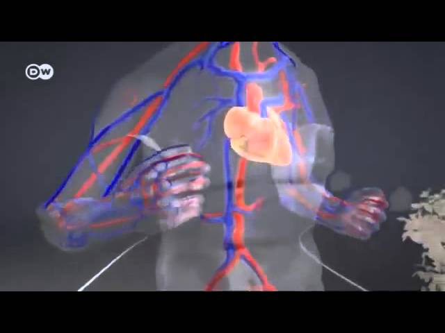 TechFitness-Tecnologia-para-Mejorar-tu-Salud-y-Estado-Fisico - Sonajero.es