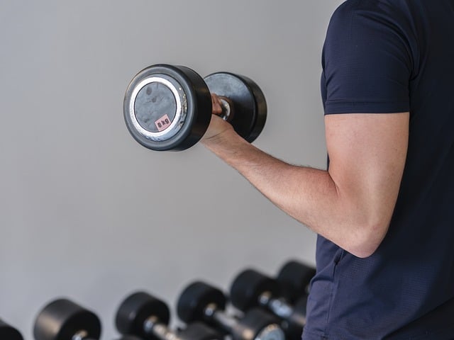 musculatura - IP - Sonajero.es