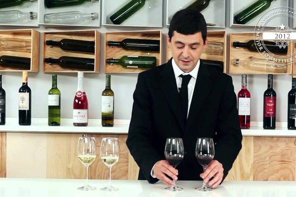 Todo lo que necesitas saber para realizar catas de vino en casa: descubre sabores y maridajes
