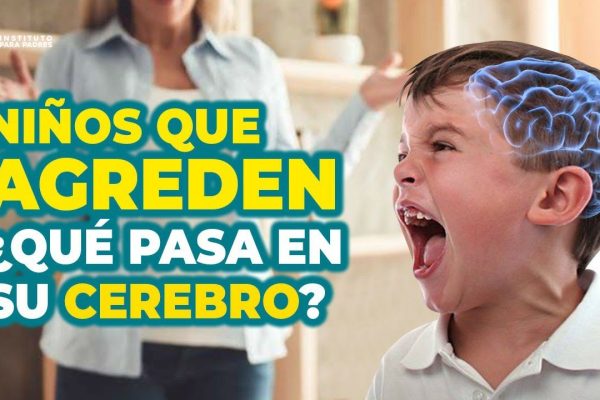 Como-abordar-las-preocupaciones-sobre-el-comportamiento-agresivo-en-ninos-pequenos - Sonajero.es