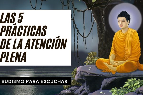 Crianza consciente en solitario: Practicando la atención plena