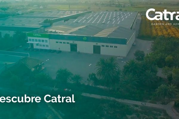 Descubre lo mejor de Catral: historia, cultura y lugares imprescindibles
