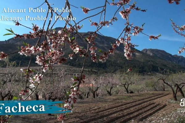 Descubre todo sobre Facheca: historia, turismo y mucho más