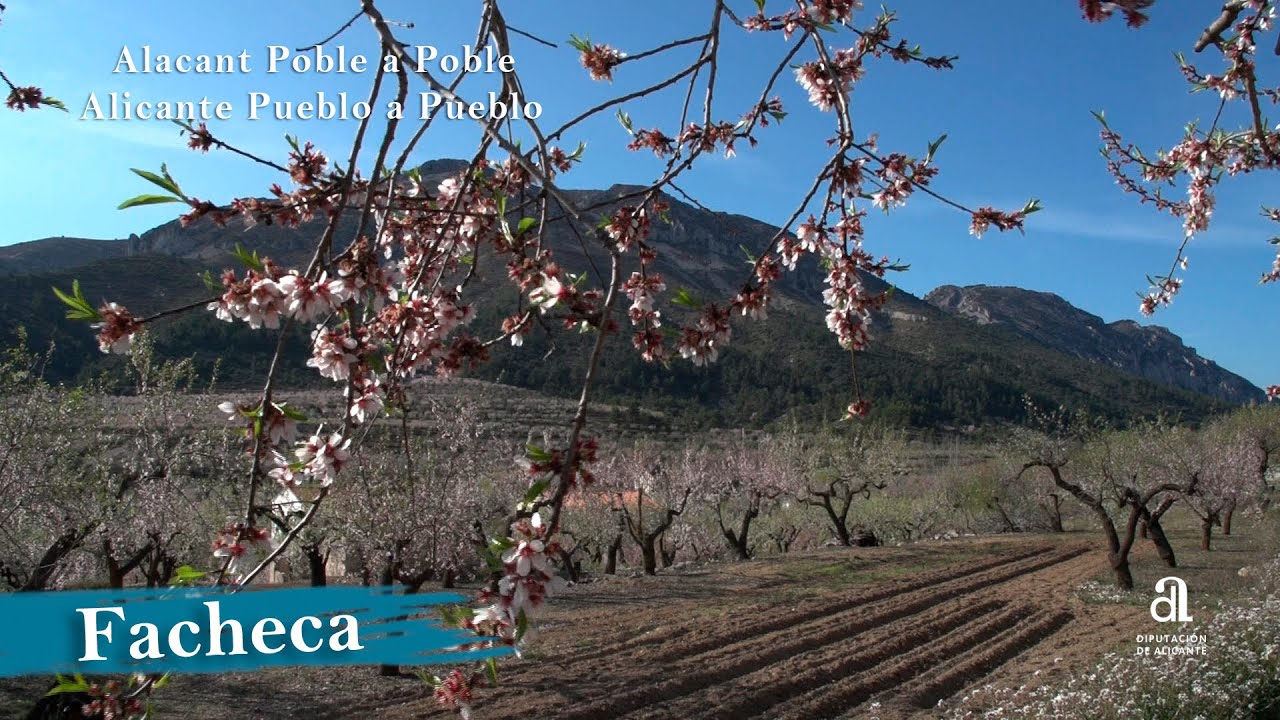 Conoce-Facheca - Sonajero.es