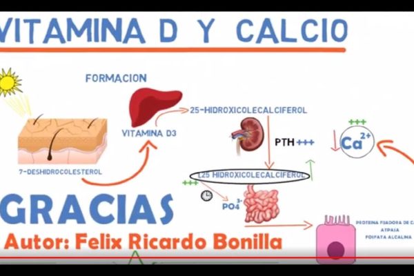 Consejos para mantener la salud ósea en crecimiento: Calcio y vitamina D