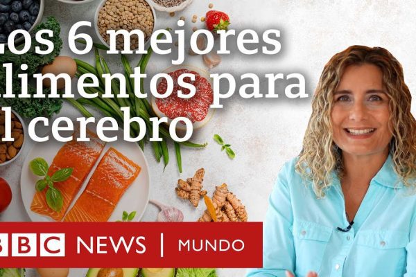 Nutrición y rendimiento académico: Alimentos que estimulan el cerebro