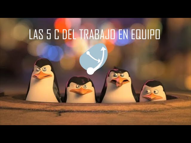 Participacion-en-clubes-y-organizaciones-estudiantiles-Oportunidades-de-liderazgo - Sonajero.es