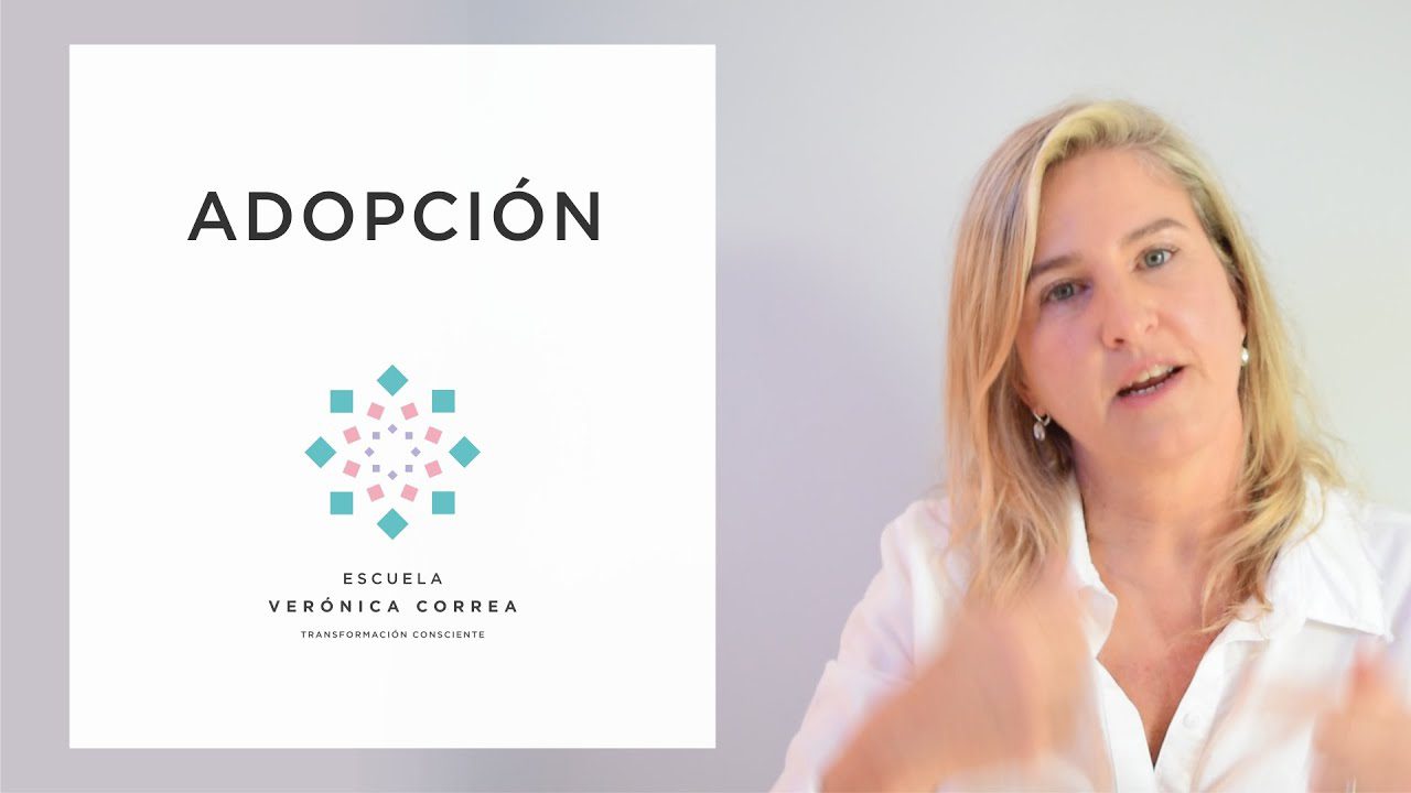 Adopcion-y-hermanos-biologicos-Estrategias-para-la-integracion-familiar - Sonajero.es