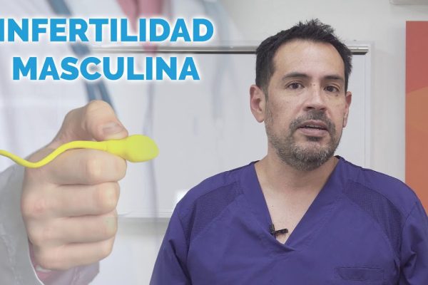 Conociendo la fertilidad masculina: Factores a considerar para futuros padres