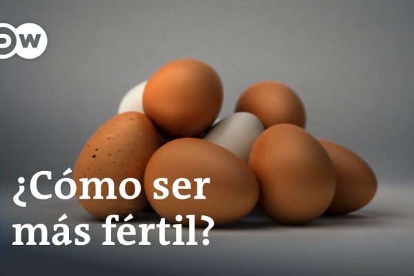 Todo sobre la Infertilidad: Opciones de Tratamiento Efectivas y Consejos Útiles