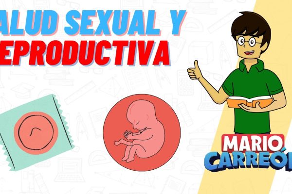 Cuidado de la salud sexual durante la concepción: Consejos para parejas
