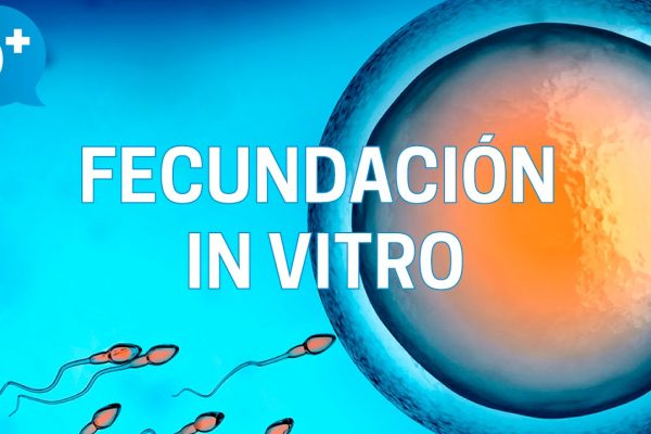Explorando opciones de fertilización in vitro: Consejos para tomar decisiones informadas