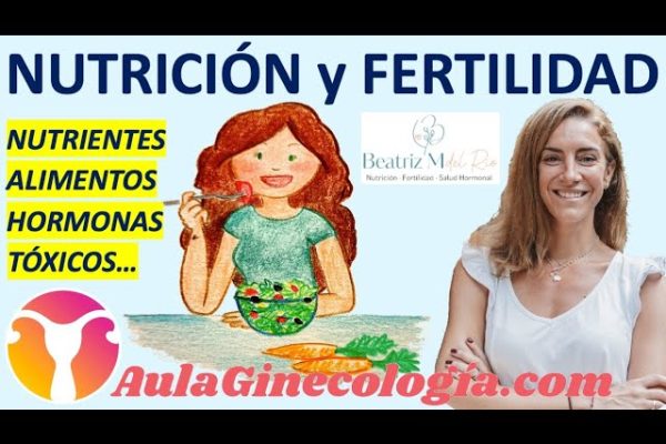 Fertilidad y nutrición: Alimentos que favorecen la concepción