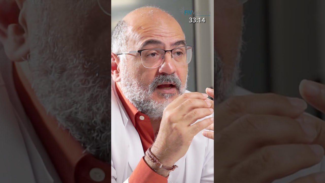 Fertilidad-y-terapias-alternativas-Explorando-enfoques-complementarios - Sonajero.es