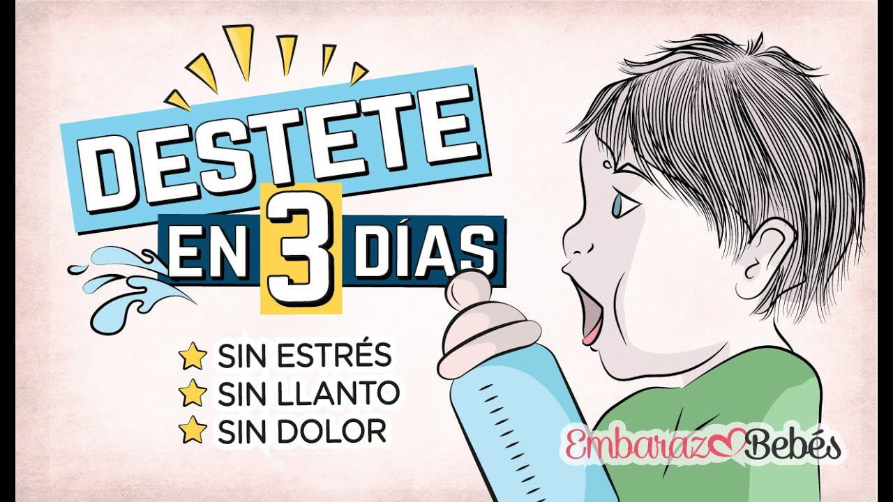 Cómo lidiar con el destete y la transición a alimentos sólidos