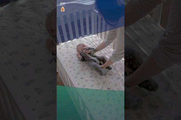 Cómo mantener a tu bebé seguro mientras exploran el mundo
