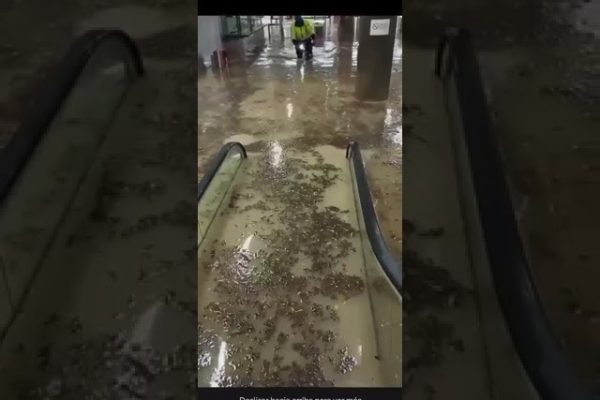 Explorando el Centro Comercial Parque Corredor en Torrejón de Ardoz