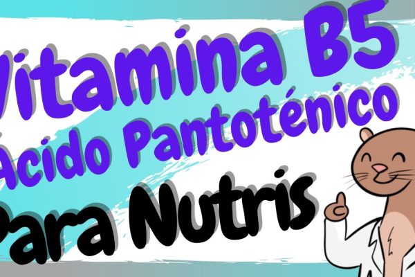 Descubre por qué la vitamina B5 es esencial para la salud ginecológica