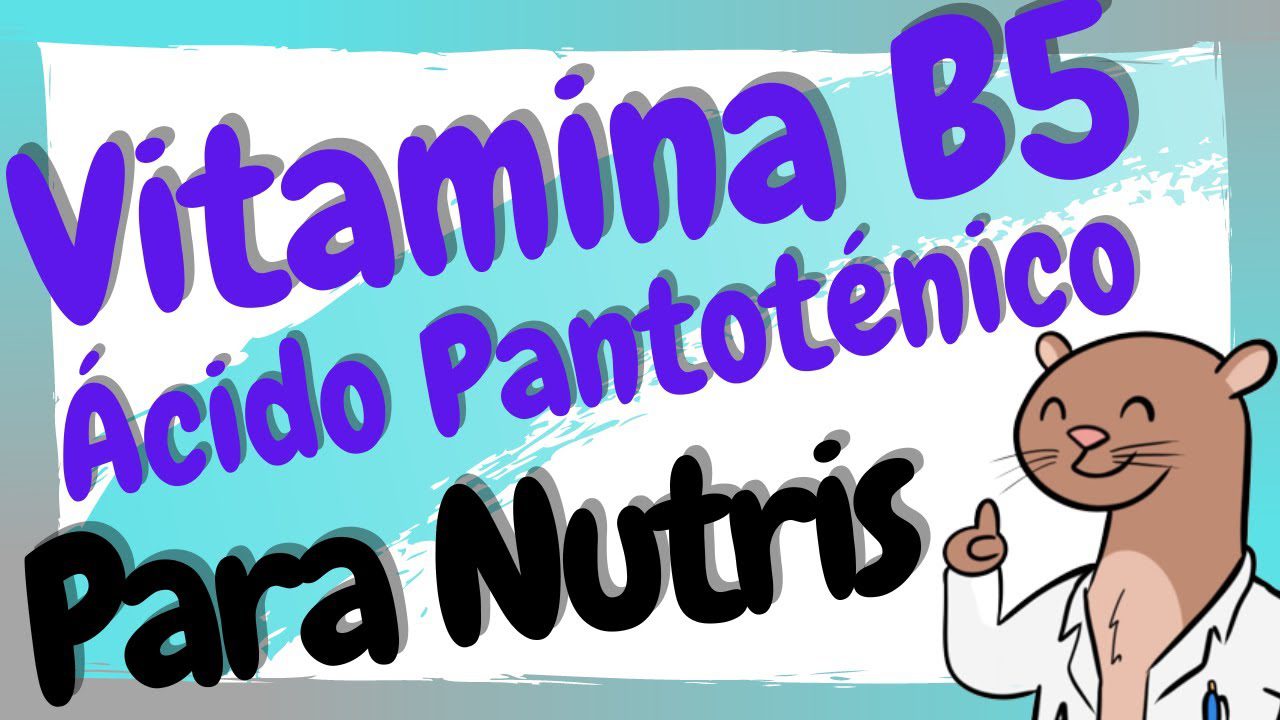 La-importancia-de-la-vitamina-B5-para-la-salud-ginecologica - Sonajero.es La importancia de la vitamina B5 para la salud ginecológica