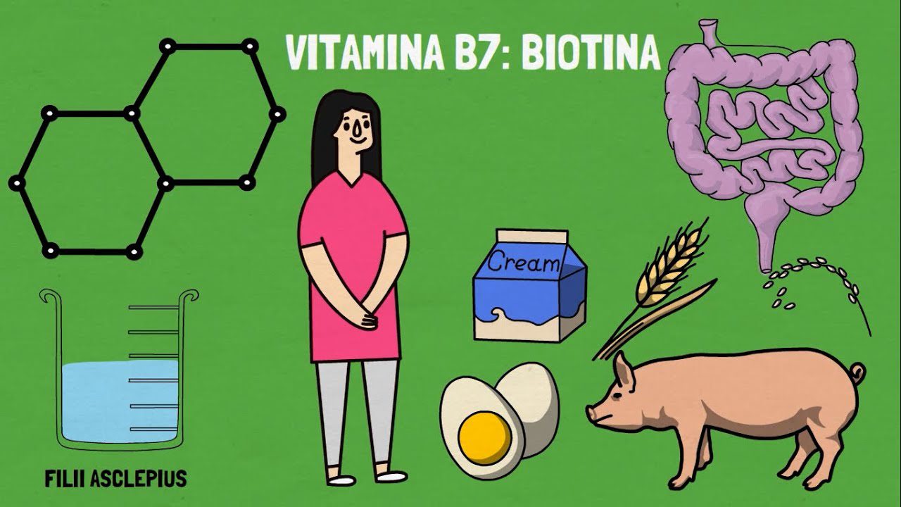 La-importancia-de-la-vitamina-B7-para-la-salud-ginecologica - Sonajero.es La importancia de la vitamina B7 para la salud ginecológica