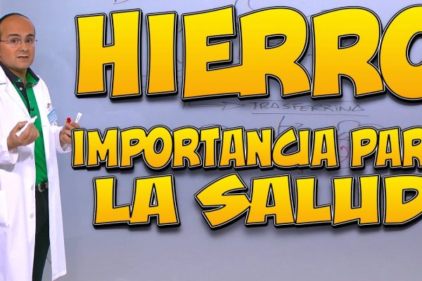 La Importancia del Hierro en la Dieta Femenina: Beneficios y Fuentes Esenciales