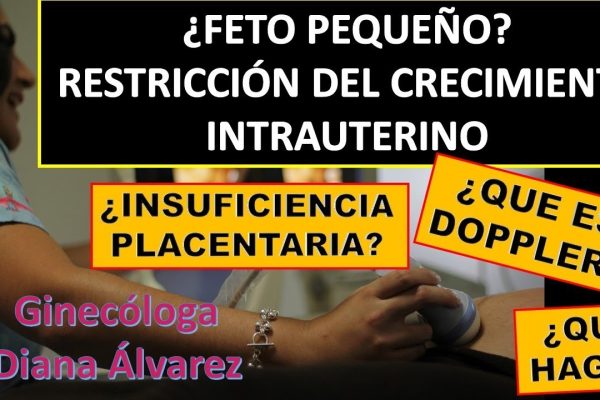 Guía completa sobre el seguimiento del embarazo con insuficiencia placentaria: todo lo que necesitas saber