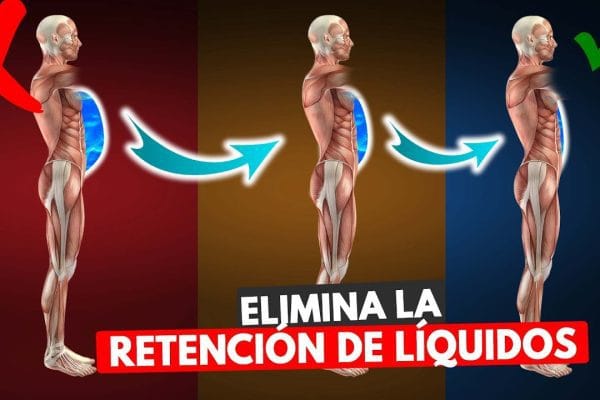 Cómo Reducir la Retención de Líquidos con la Alimentación: Guía Completa