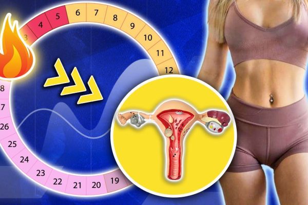 Guía Completa para Entender el Ciclo Menstrual y la Salud Femenina